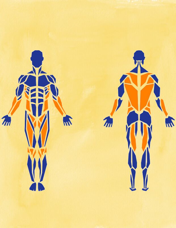 préparation musculaire ski